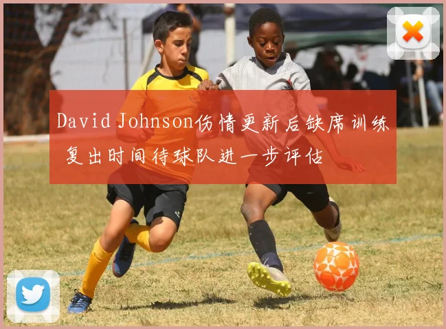 David Johnson伤情更新后缺席训练 复出时间待球队进一步评估